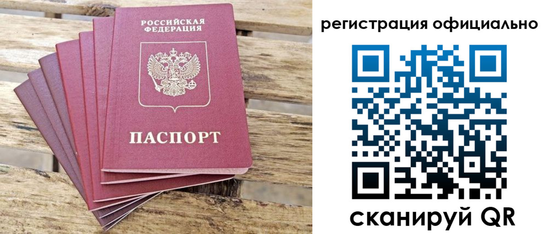 прописка в квартире в Королёве